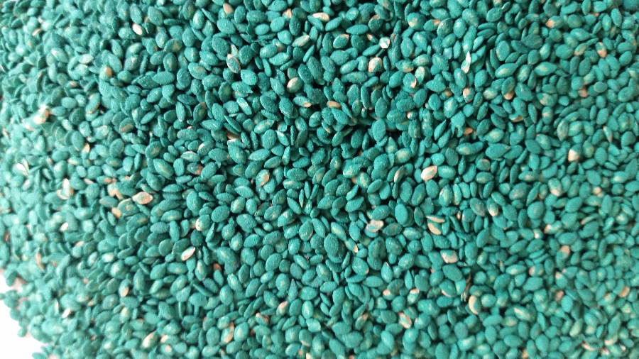 Seeds/Coated/Uncoated Photo Gallery Global tropical Seeds cc